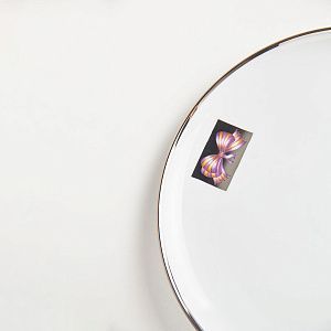 Тарелка обеденная