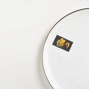 Тарелка обеденная