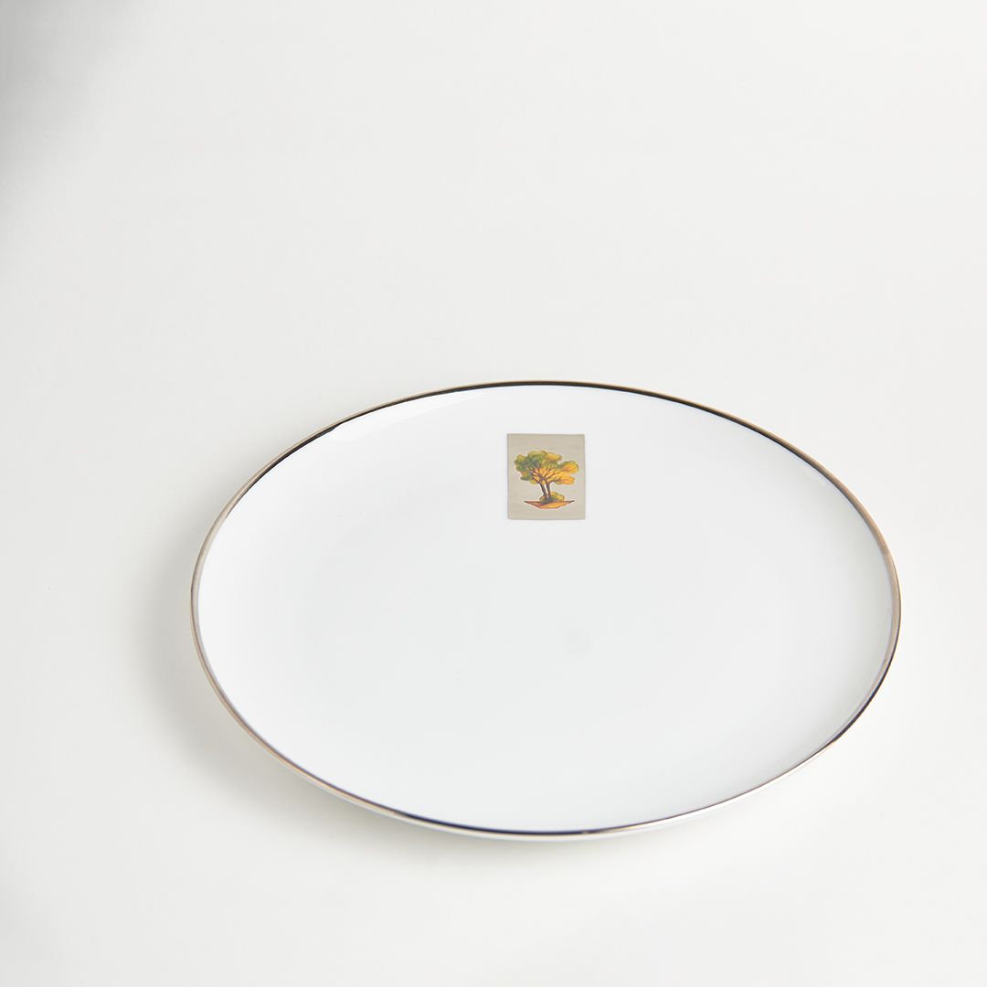 Тарелка обеденная