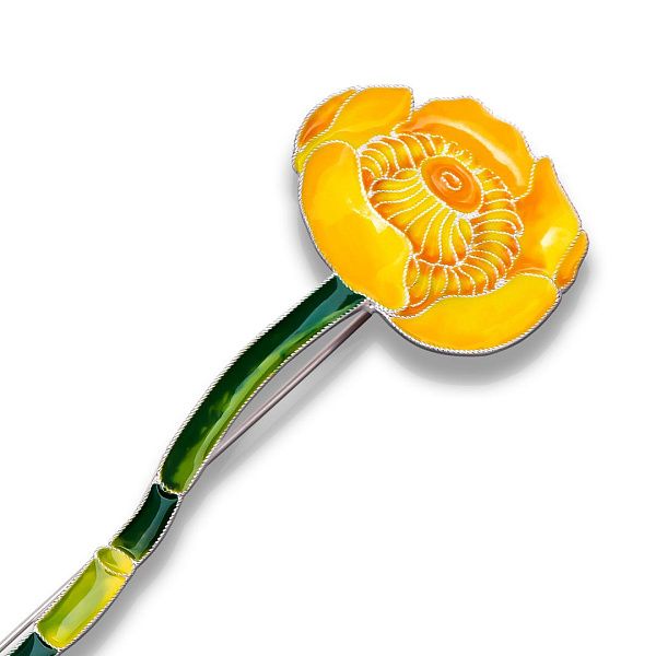 Брошь «Кубышка»