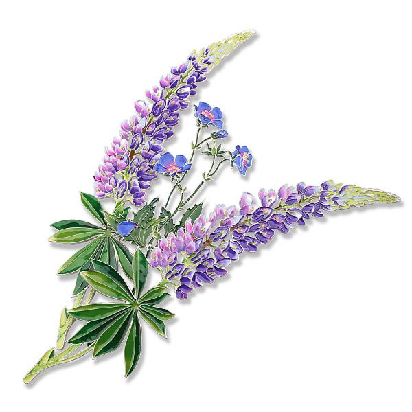 Брошь «Люпин»