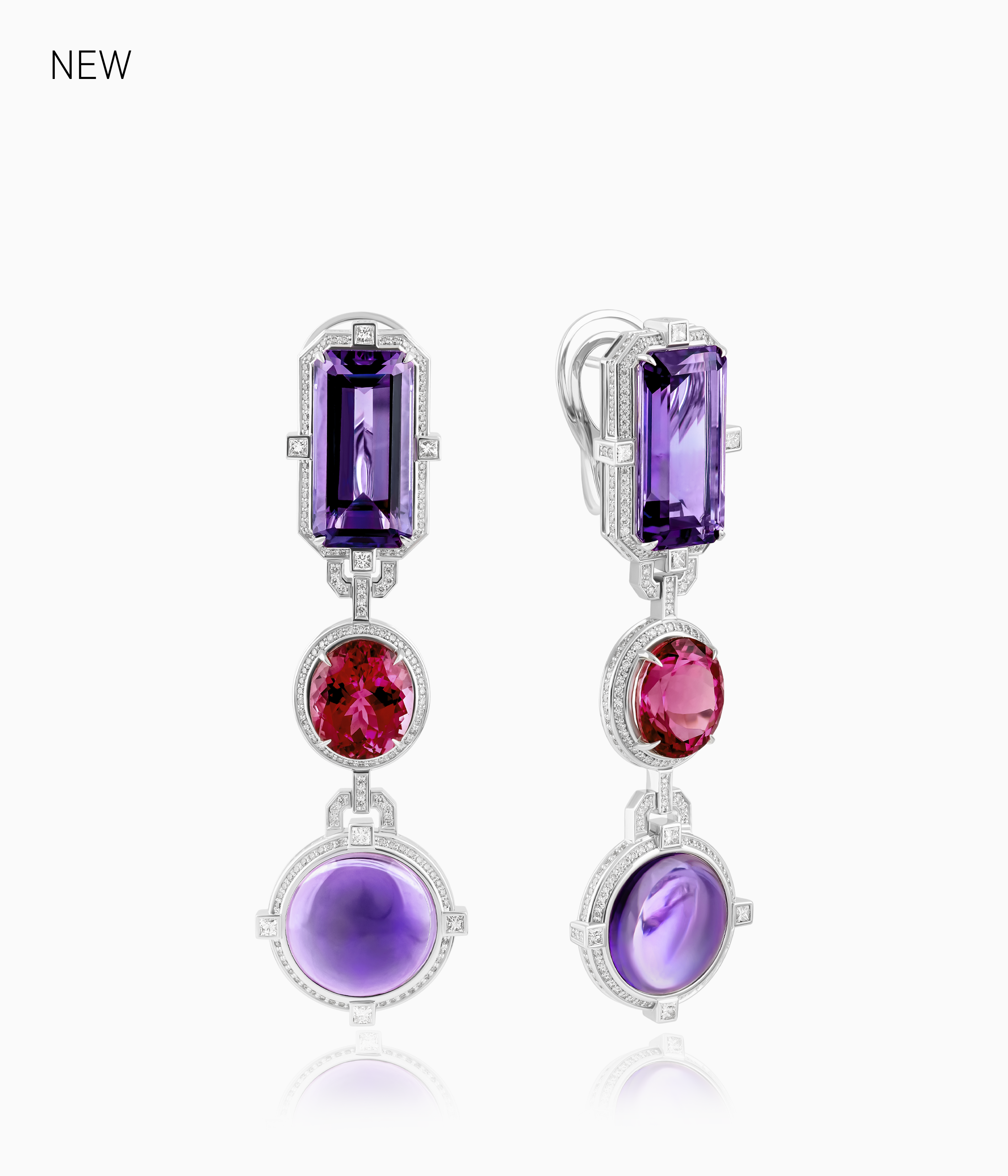 Картинка гербария